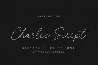 Elevate Projects with Charlie Script
